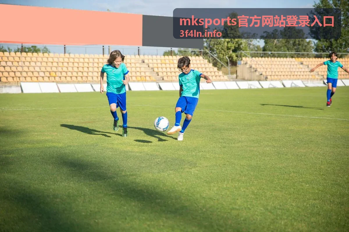 mksports官方网站登录入口账号与安全帮助页面背景图